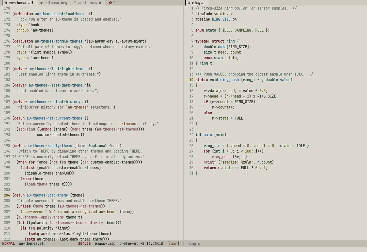 au-salina-day theme code sample