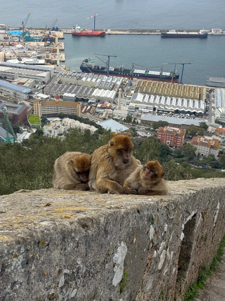 Gibraltar, photo 1