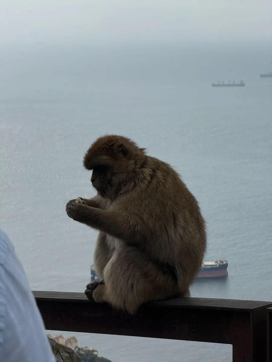Gibraltar, photo 2