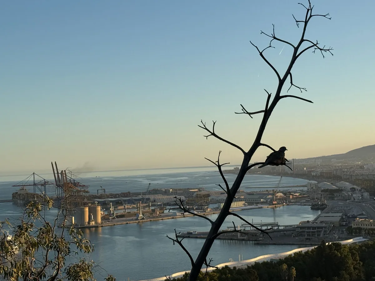 Málaga, photo 5