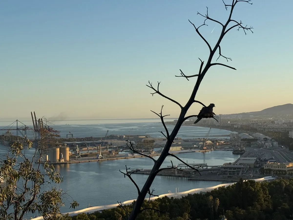 Málaga, photo 6