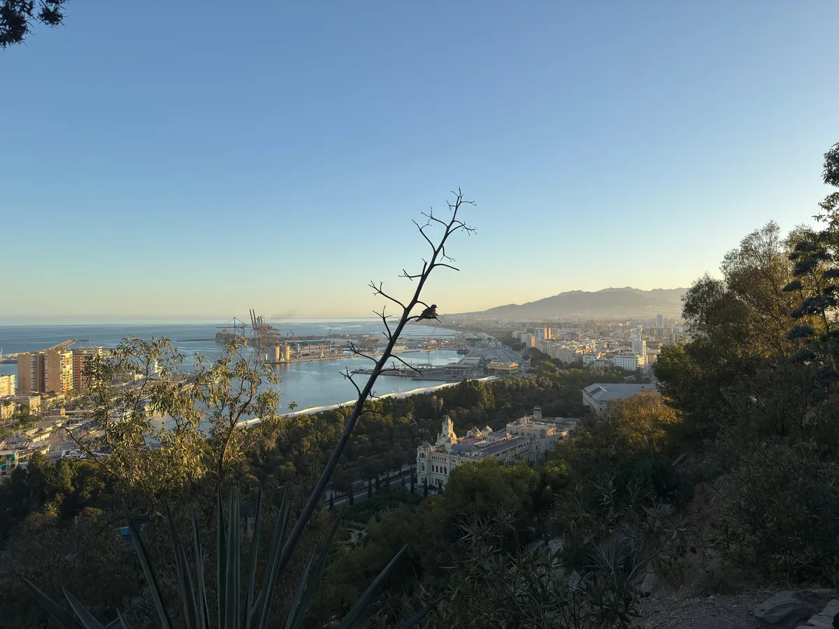 Málaga, photo 7