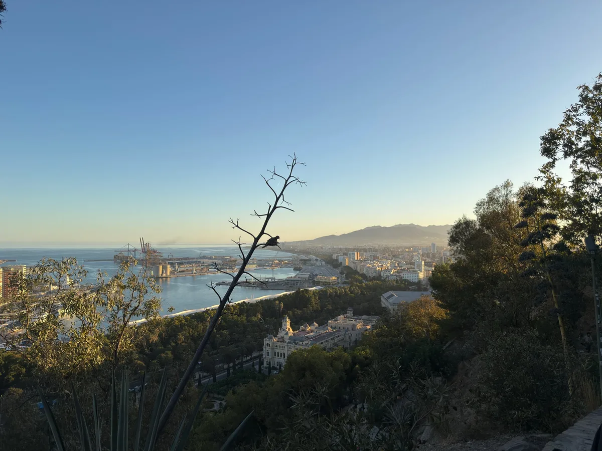 Málaga, photo 8