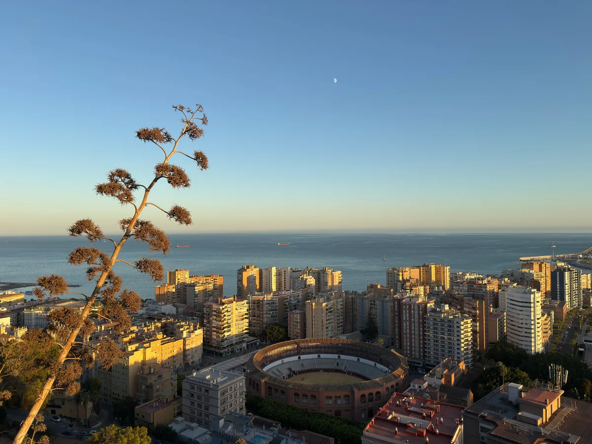 Málaga, photo 13