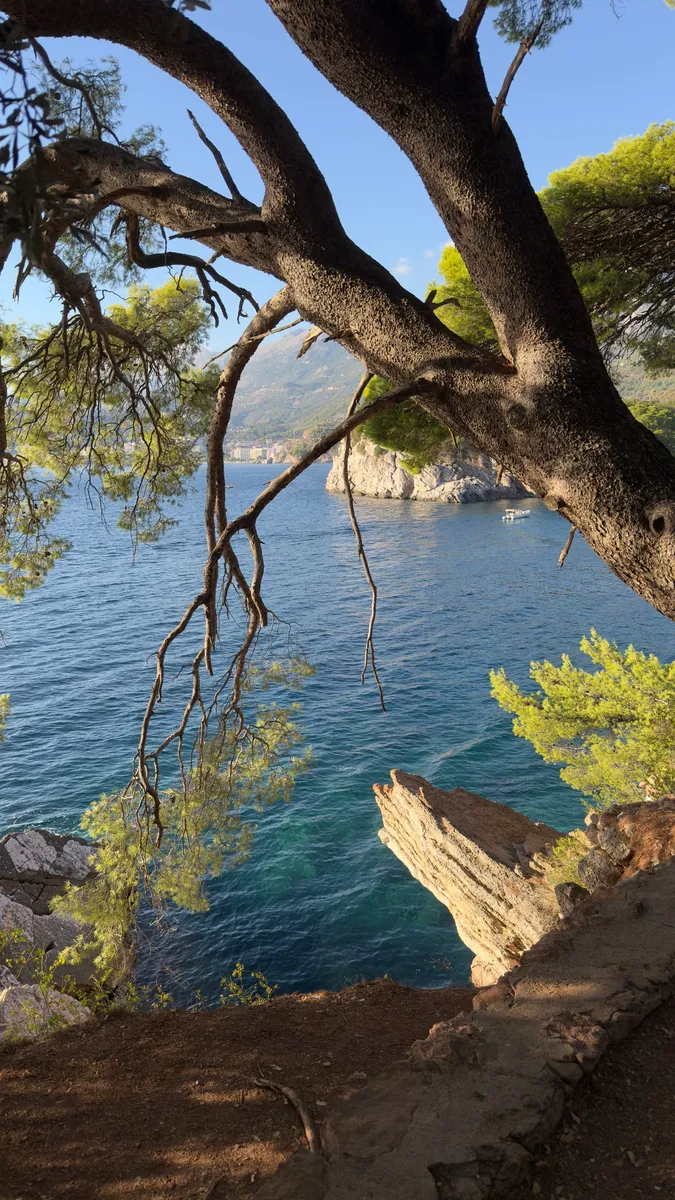 Montenegro, photo 11