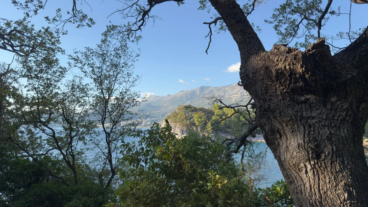 Montenegro, photo 14