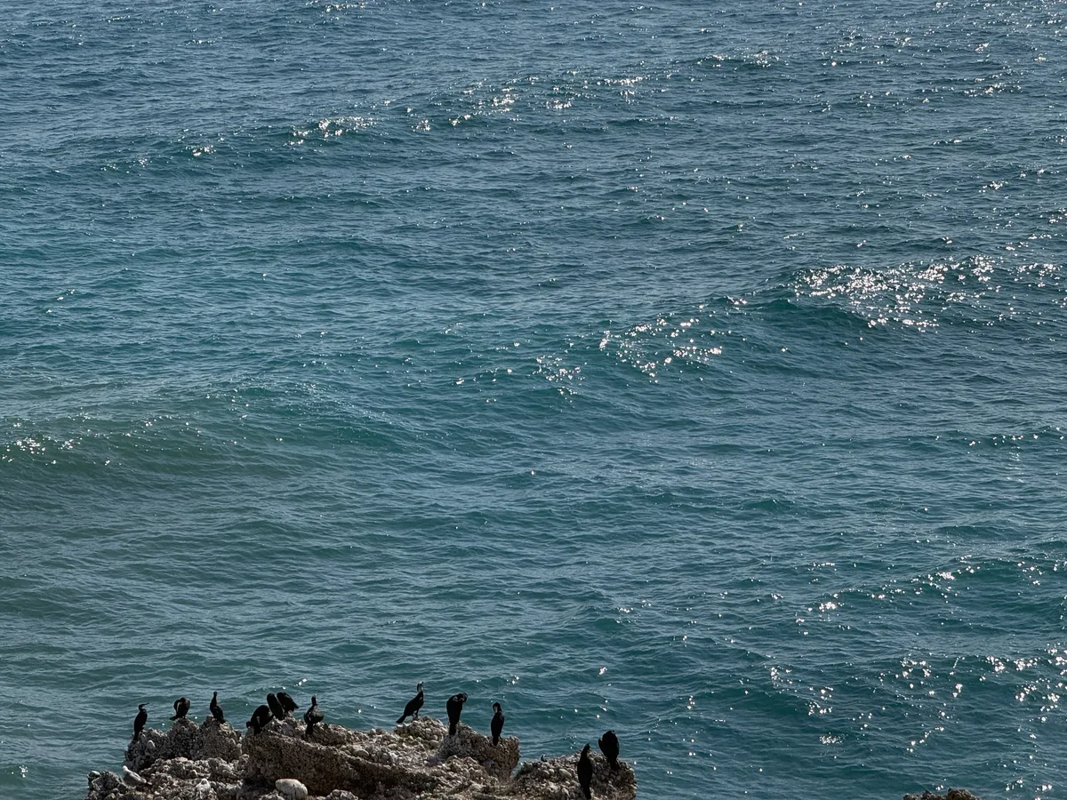 Nerja, photo 2