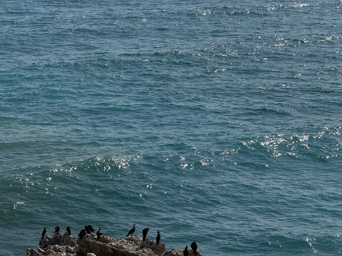 Nerja, photo 3