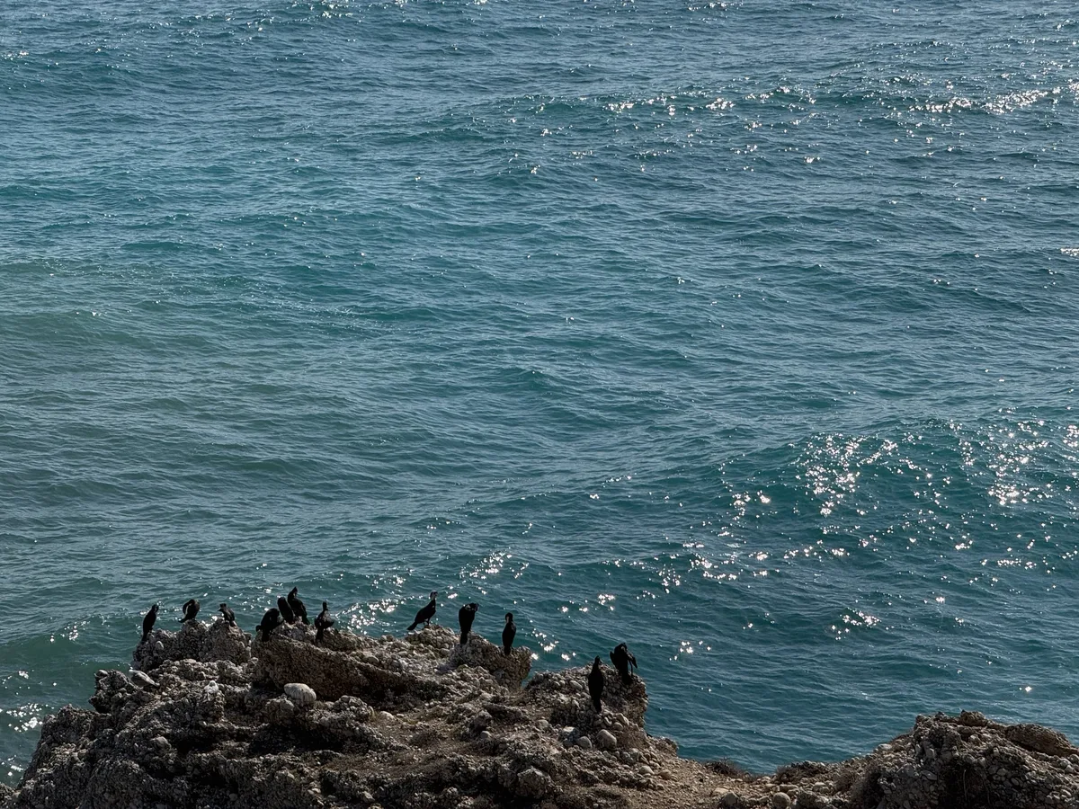 Nerja, photo 4